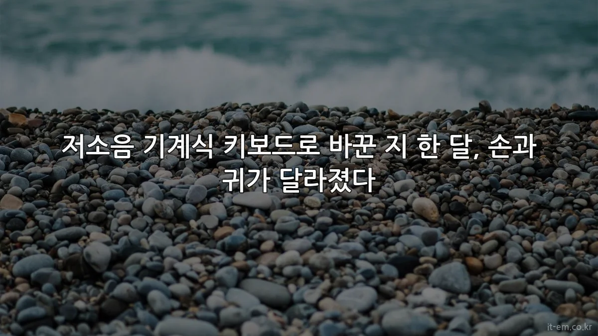 저소음 기계식 키보드로 바꾼 지 한 달, 손과 귀가 달라졌다