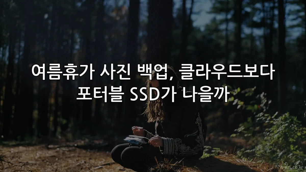 여름휴가 사진 백업, 클라우드보다 포터블 SSD가 나을까
