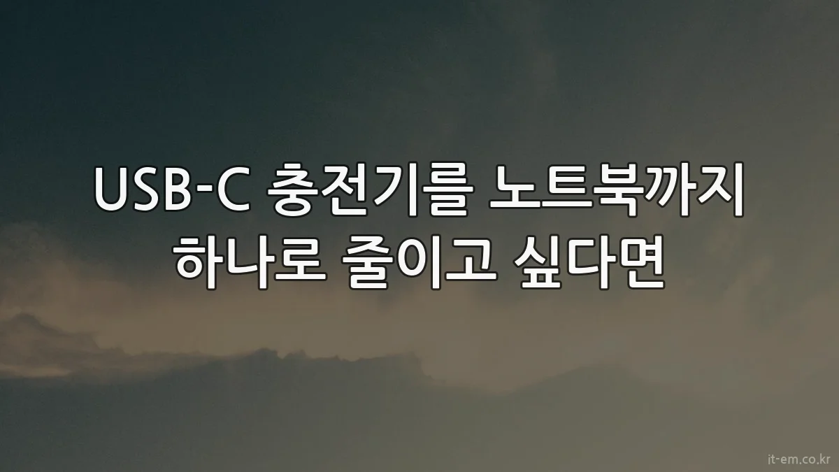 USB-C 충전기를 노트북까지 하나로 줄이고 싶다면