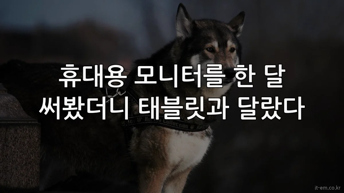 휴대용 모니터를 한 달 써봤더니 태블릿과 달랐다