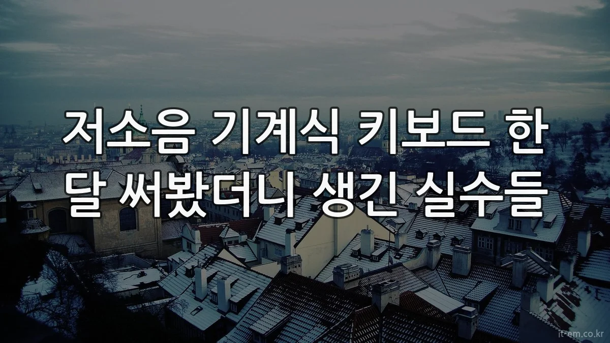 저소음 기계식 키보드 한 달 써봤더니 생긴 실수들