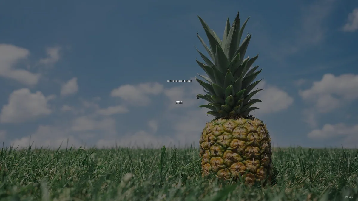 감성 라이프스타일 소품: 실제 사용 후기와 팁