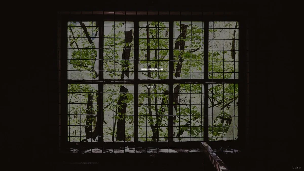 감성 라이프스타일 제품 비교: 상황별 선택 가이드