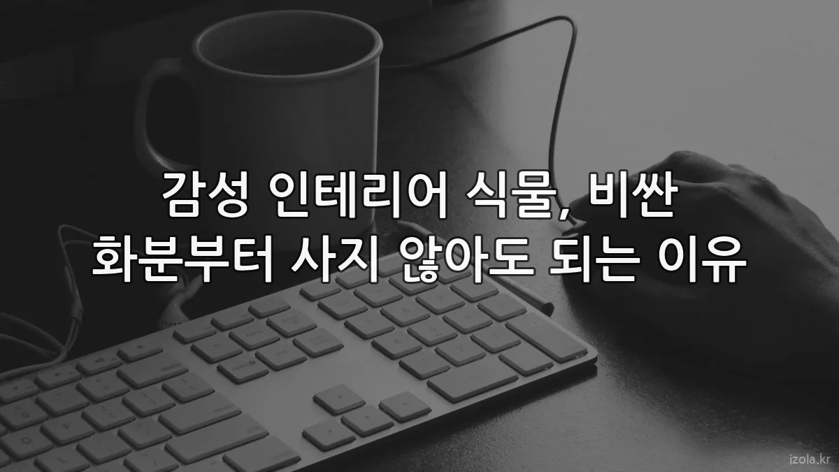 감성 인테리어 식물, 비싼 화분부터 사지 않아도 되는 이유