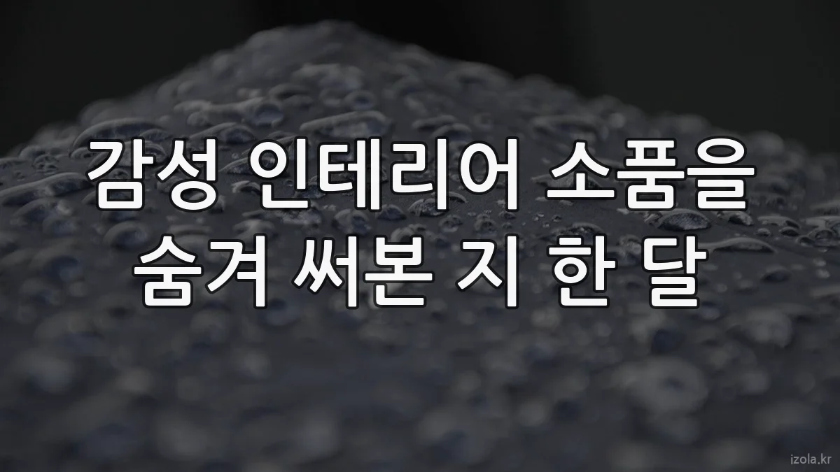 감성 인테리어 소품을 숨겨 써본 지 한 달