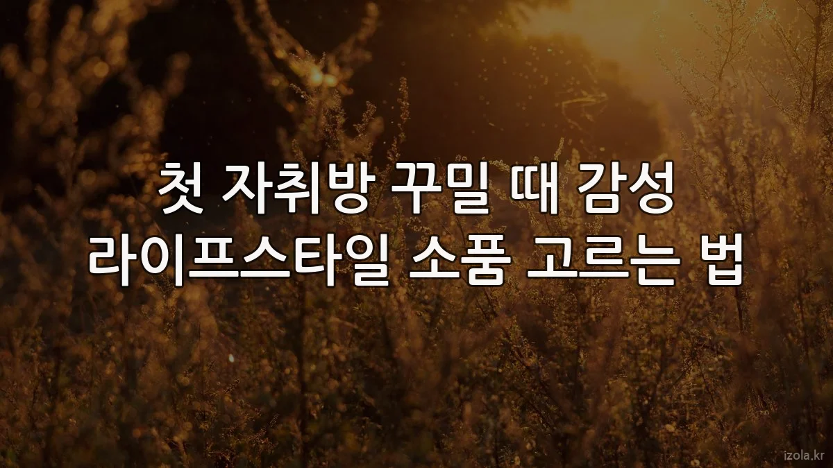 첫 자취방 꾸밀 때 감성 라이프스타일 소품 고르는 법