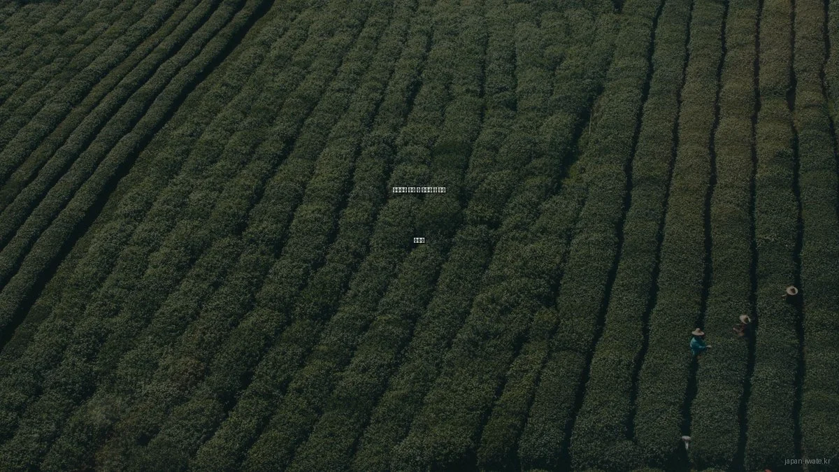 이와테현 여행 중 피해야 할 흔한 실수들