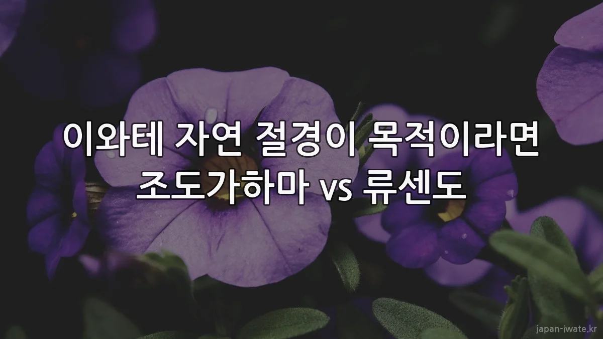 이와테 자연 절경이 목적이라면 조도가하마 vs 류센도