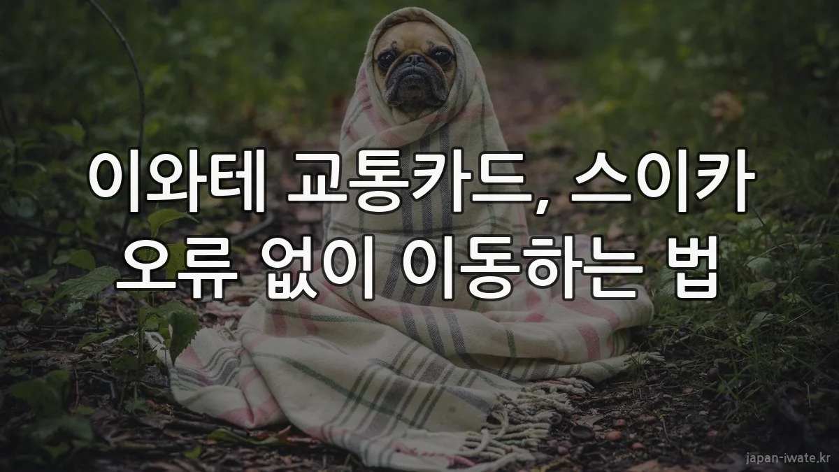 이와테 교통카드, 스이카 오류 없이 이동하는 법