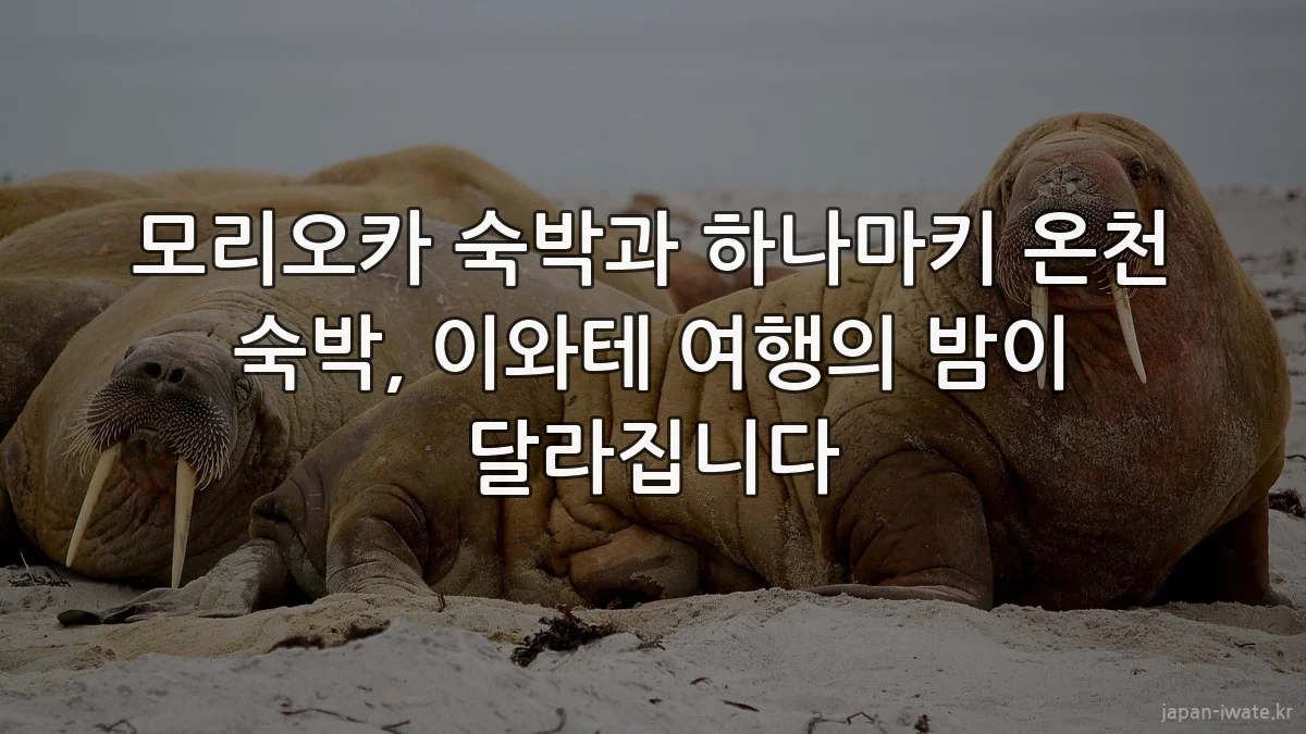 모리오카 숙박과 하나마키 온천 숙박, 이와테 여행의 밤이 달라집니다