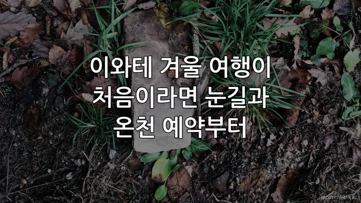 이와테 겨울 여행이 처음이라면 눈길과 온천 예약부터