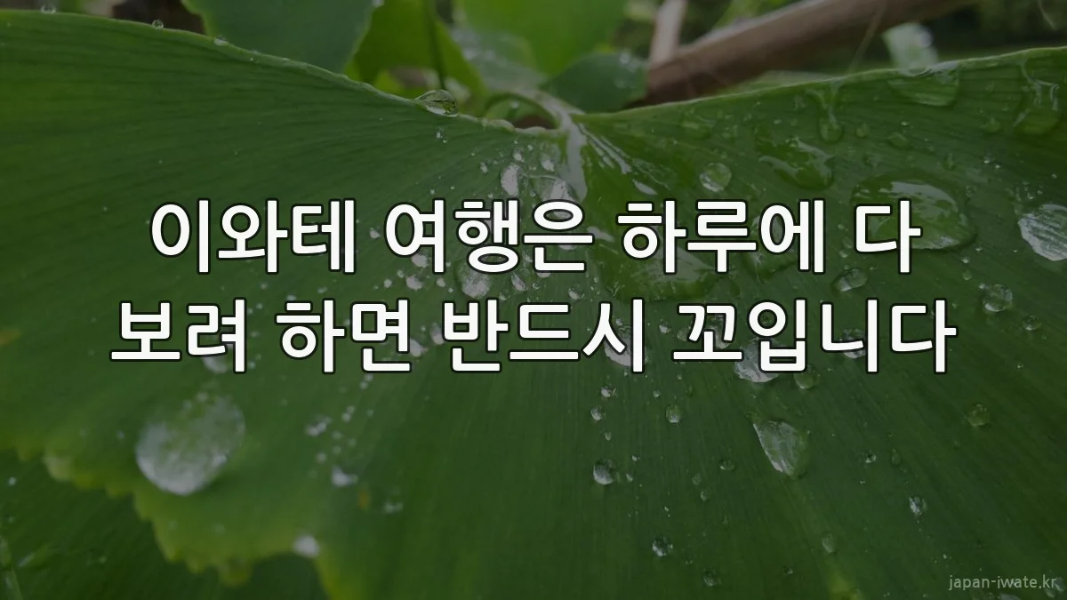 이와테 여행은 하루에 다 보려 하면 반드시 꼬입니다