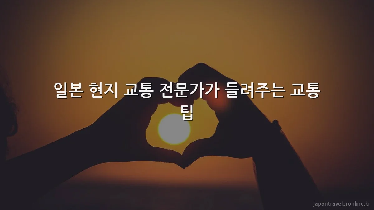 일본 현지 교통 전문가가 들려주는 교통 팁