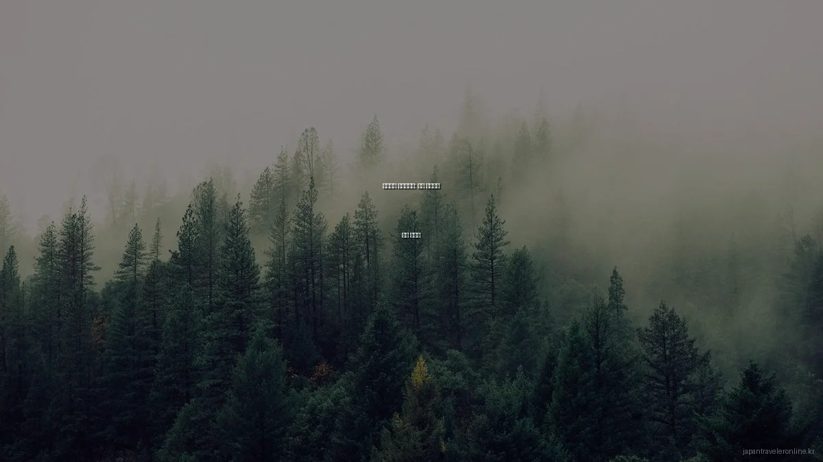 일본여행 체크리스트: 필수 준비물과 꿀팁 가이드