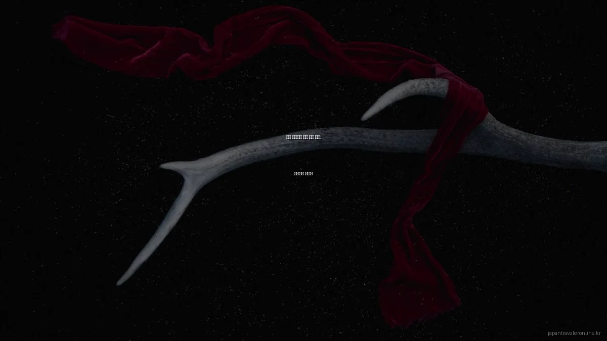 일본 고속열차 실제 사용 후기: 편리함과 주의점