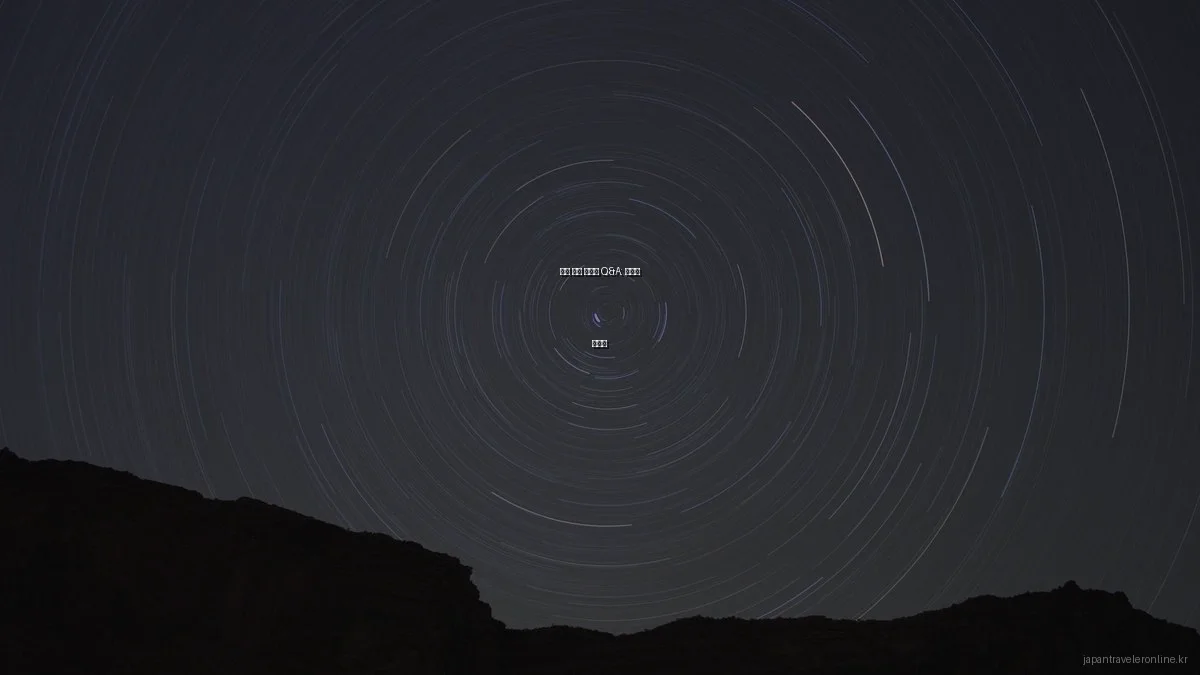 일본 교통 전문가 Q&A: 초보자 가이드