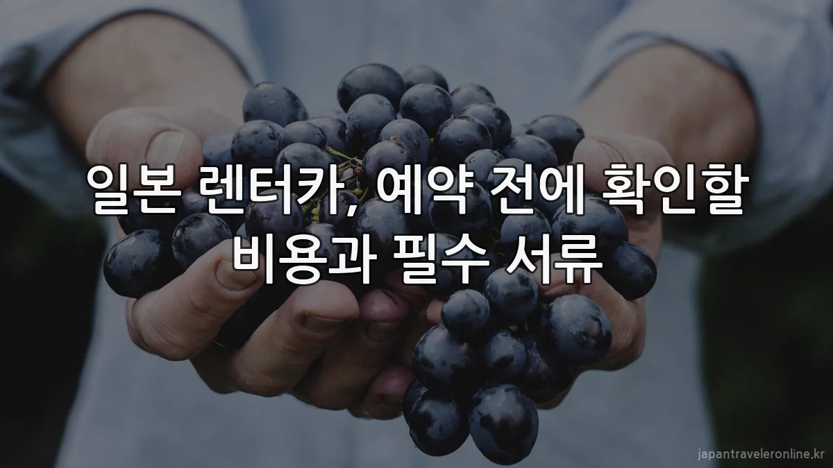 일본 렌터카, 예약 전에 확인할 비용과 필수 서류