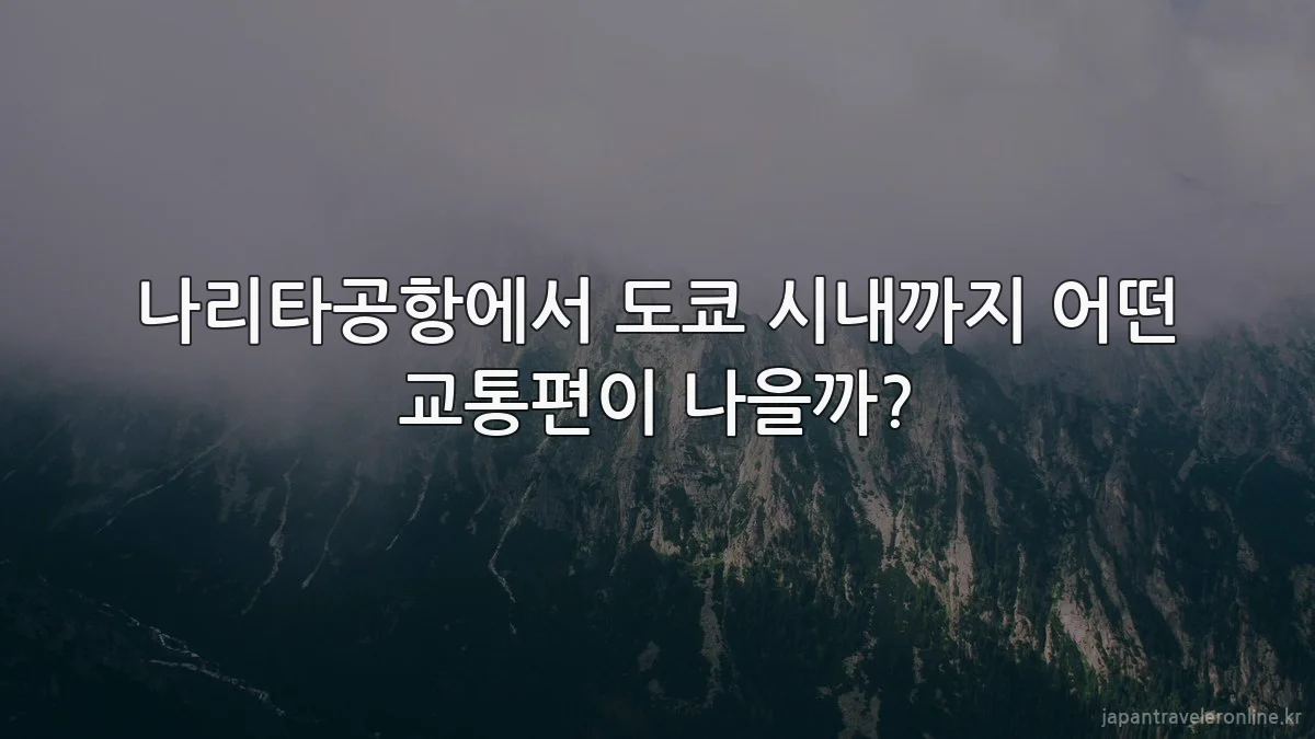 나리타공항에서 도쿄 시내까지 어떤 교통편이 나을까?