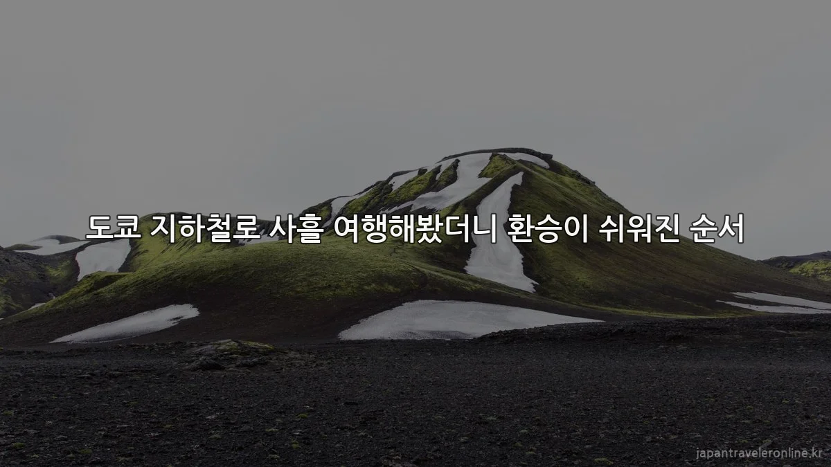 도쿄 지하철로 사흘 여행해봤더니 환승이 쉬워진 순서