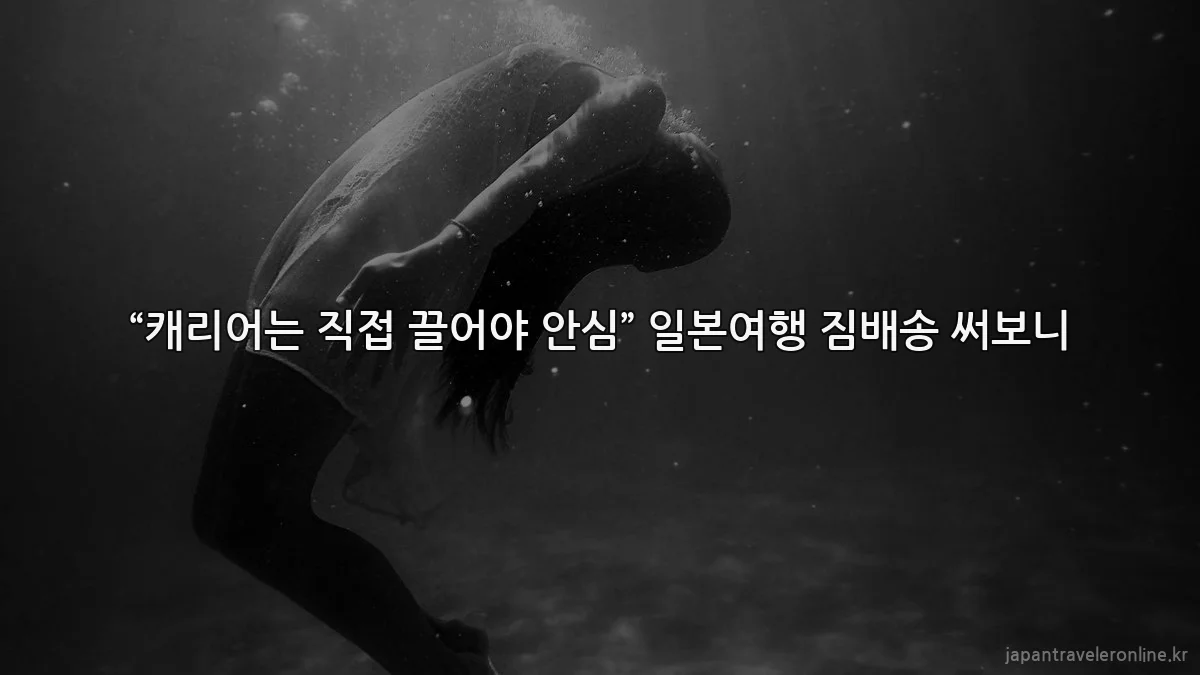“캐리어는 직접 끌어야 안심” 일본여행 짐배송 써보니