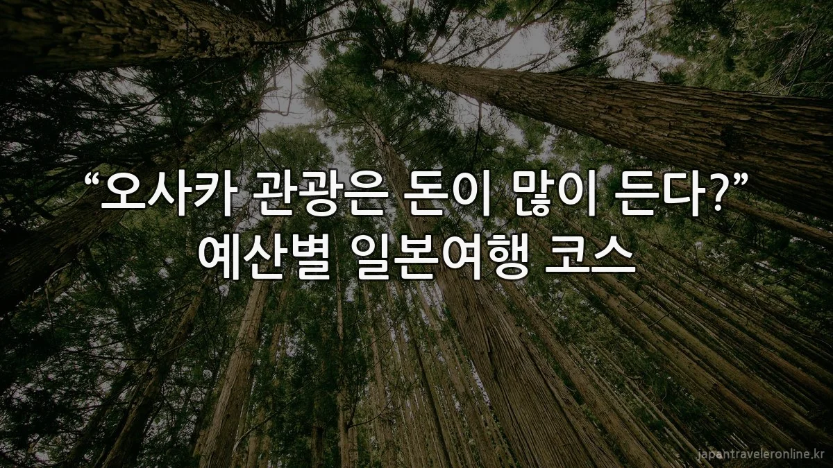 “오사카 관광은 돈이 많이 든다?” 예산별 일본여행 코스