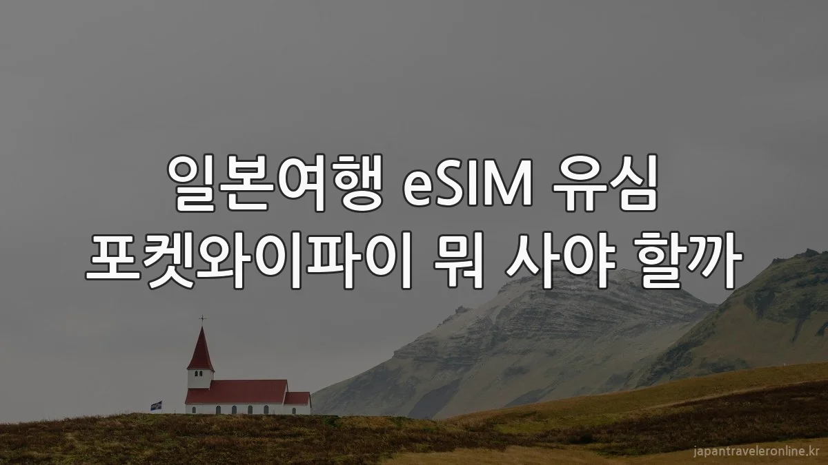 일본여행 eSIM 유심 포켓와이파이 뭐 사야 할까