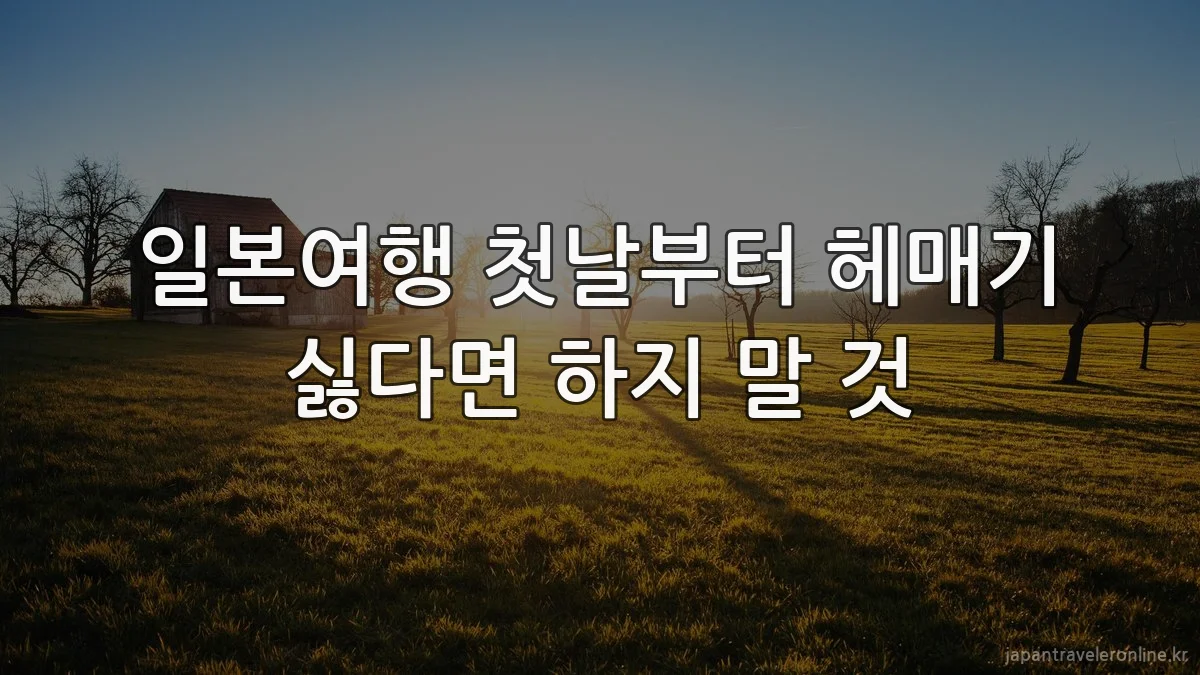 일본여행 첫날부터 헤매기 싫다면 하지 말 것