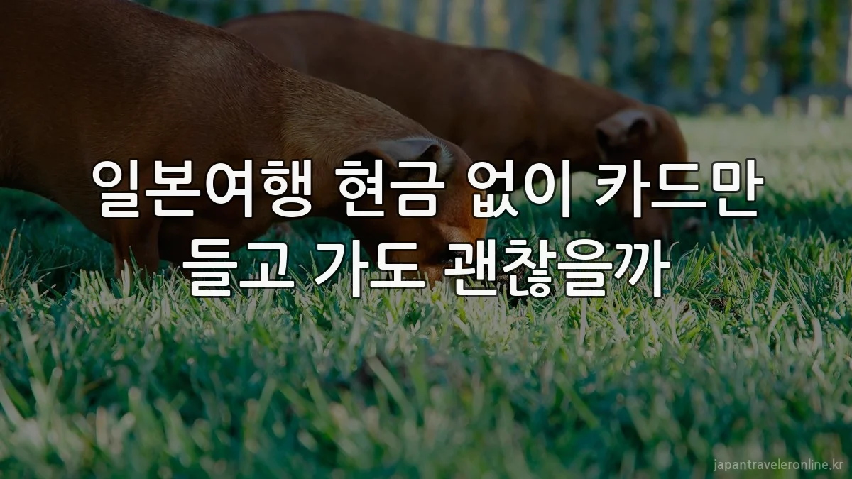 일본여행 현금 없이 카드만 들고 가도 괜찮을까