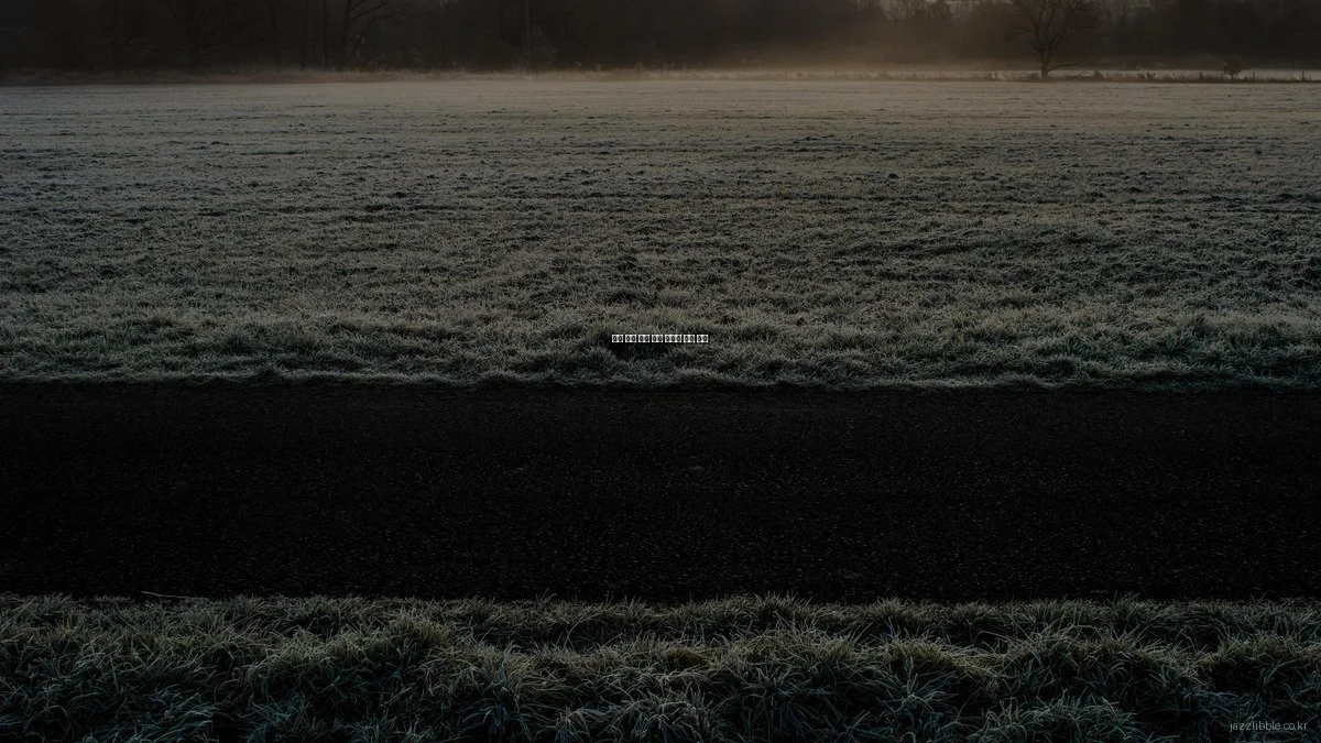 재즈 공연 준비 필수 아이템 비교 분석