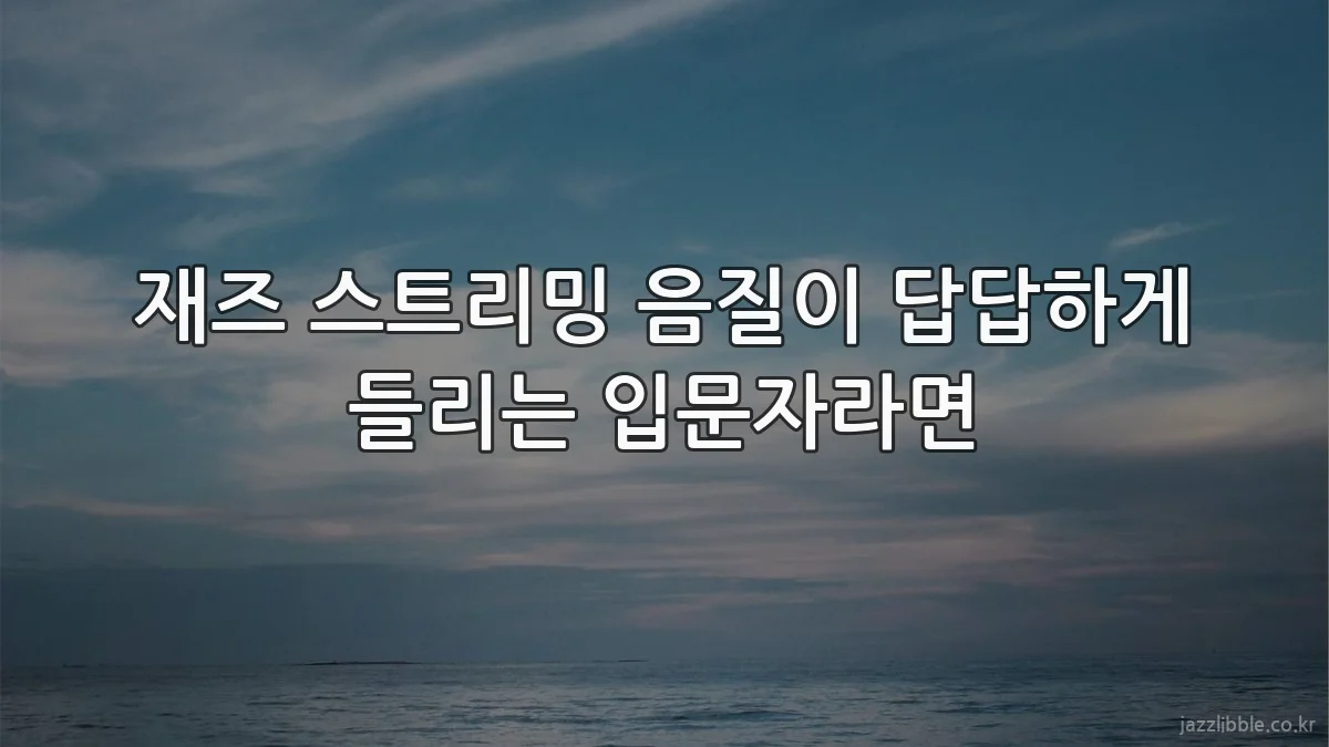 재즈 스트리밍 음질이 답답하게 들리는 입문자라면