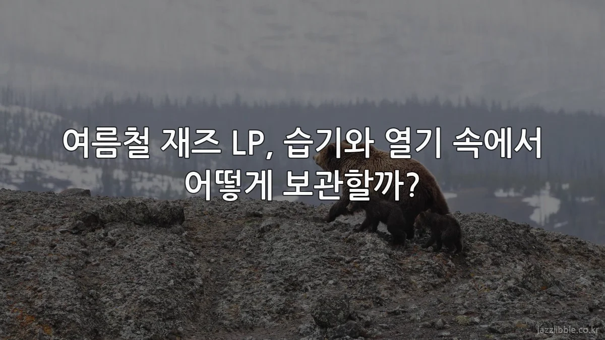여름철 재즈 LP, 습기와 열기 속에서 어떻게 보관할까?