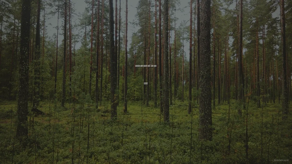 인테리어 실패 사례와 교훈: 흔한 실수 피하기