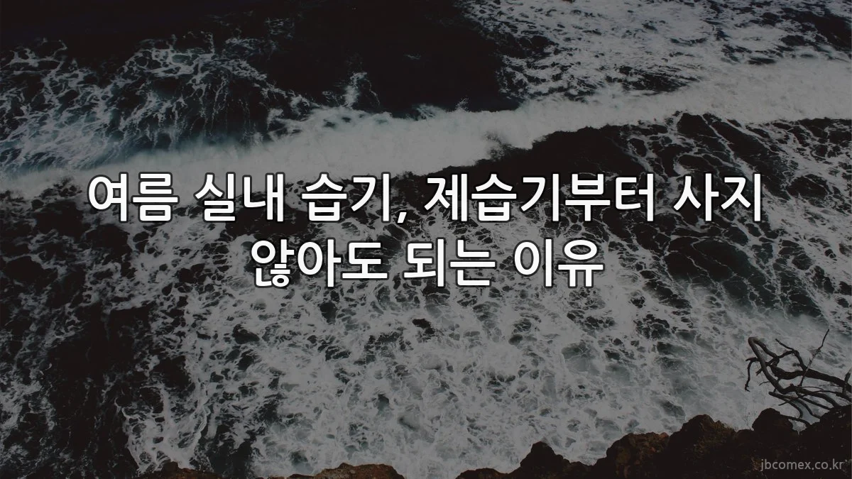 여름 실내 습기, 제습기부터 사지 않아도 되는 이유