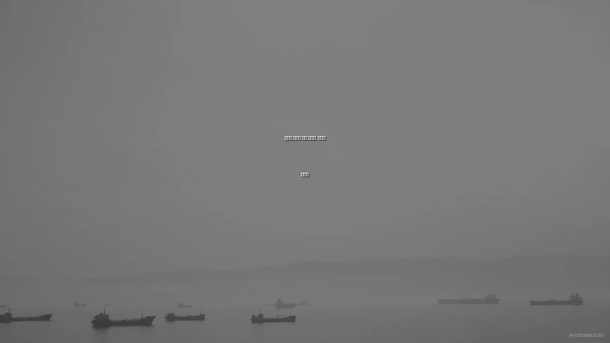 제주도 렌터카 이용 가이드: 알뜰한 선택법