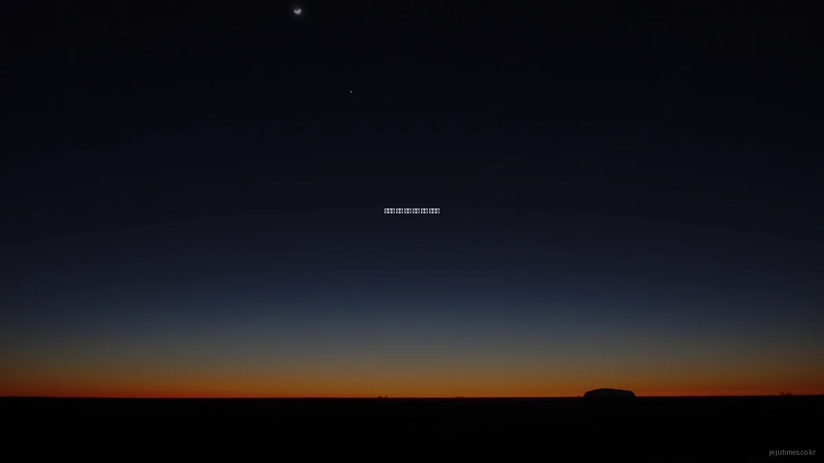 제주도 맛집 예약 문제 해결 가이드