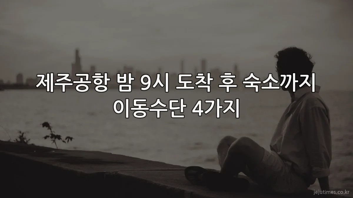 제주공항 밤 9시 도착 후 숙소까지 이동수단 4가지