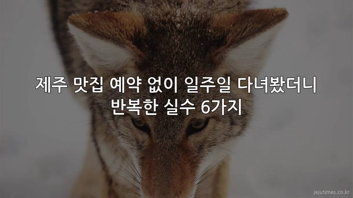 제주 맛집 예약 없이 일주일 다녀봤더니 반복한 실수 6가지