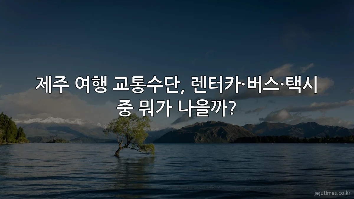 제주 여행 교통수단, 렌터카·버스·택시 중 뭐가 나을까?