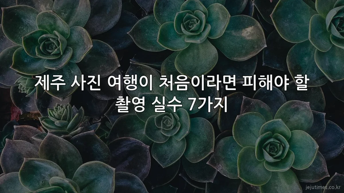 제주 사진 여행이 처음이라면 피해야 할 촬영 실수 7가지
