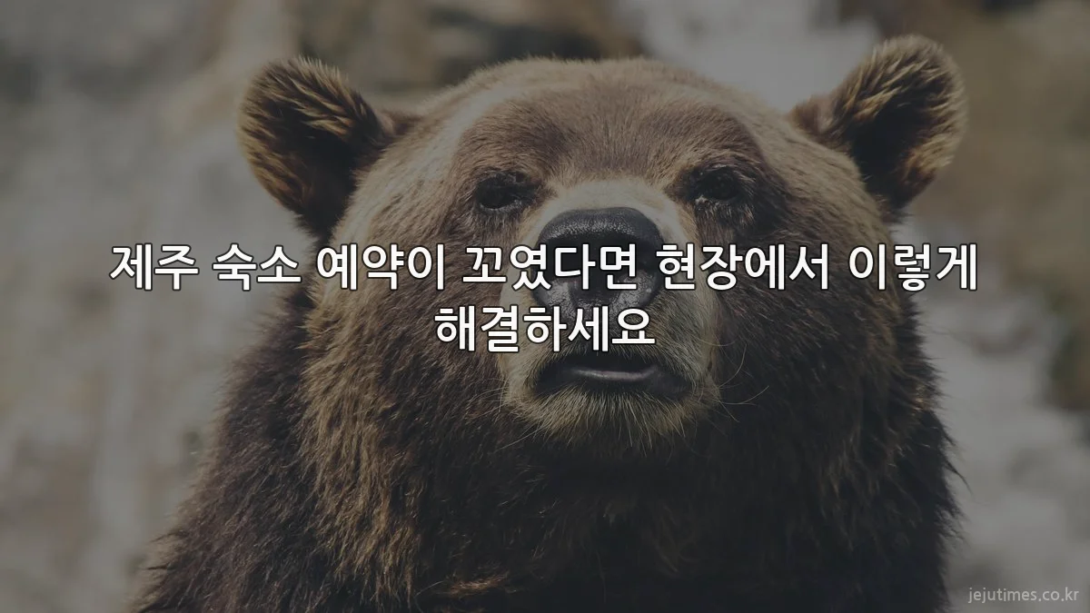 제주 숙소 예약이 꼬였다면 현장에서 이렇게 해결하세요