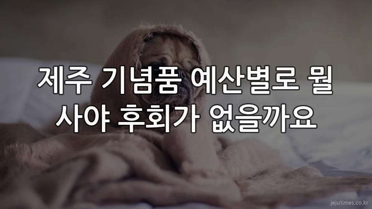제주 기념품 예산별로 뭘 사야 후회가 없을까요