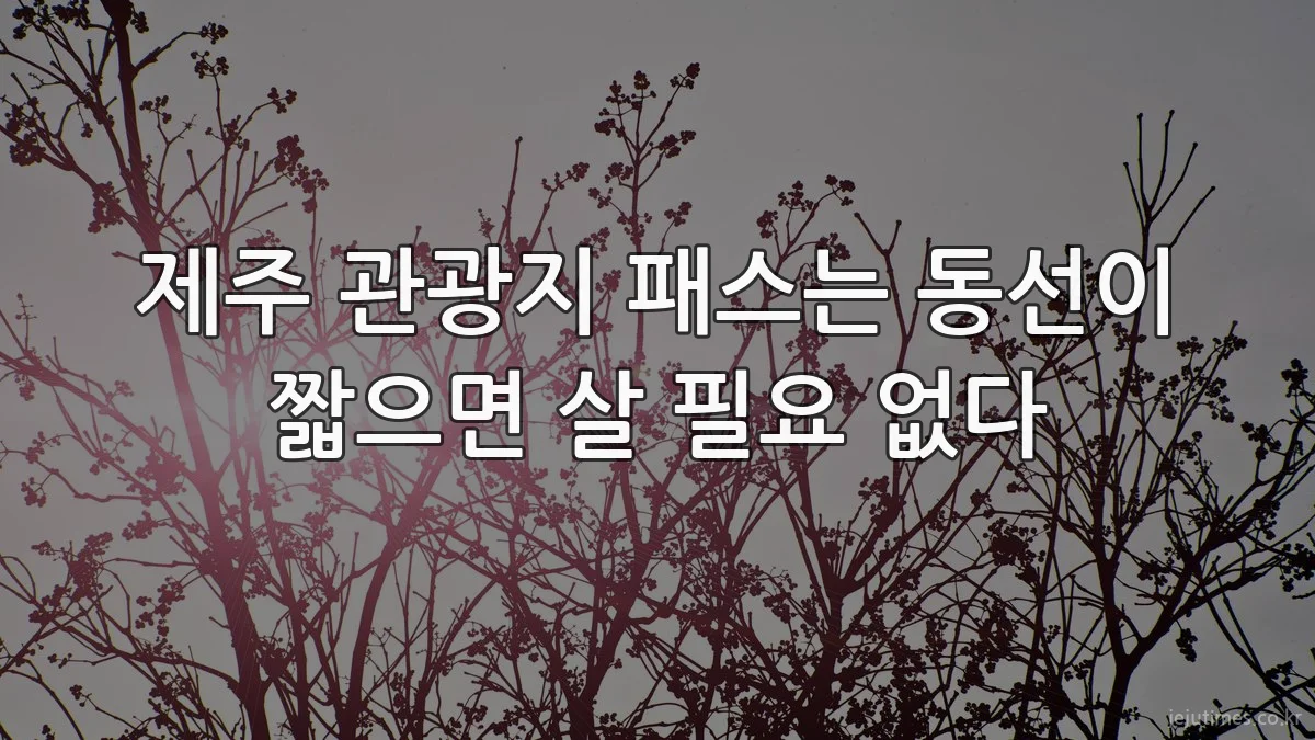 제주 관광지 패스는 동선이 짧으면 살 필요 없다