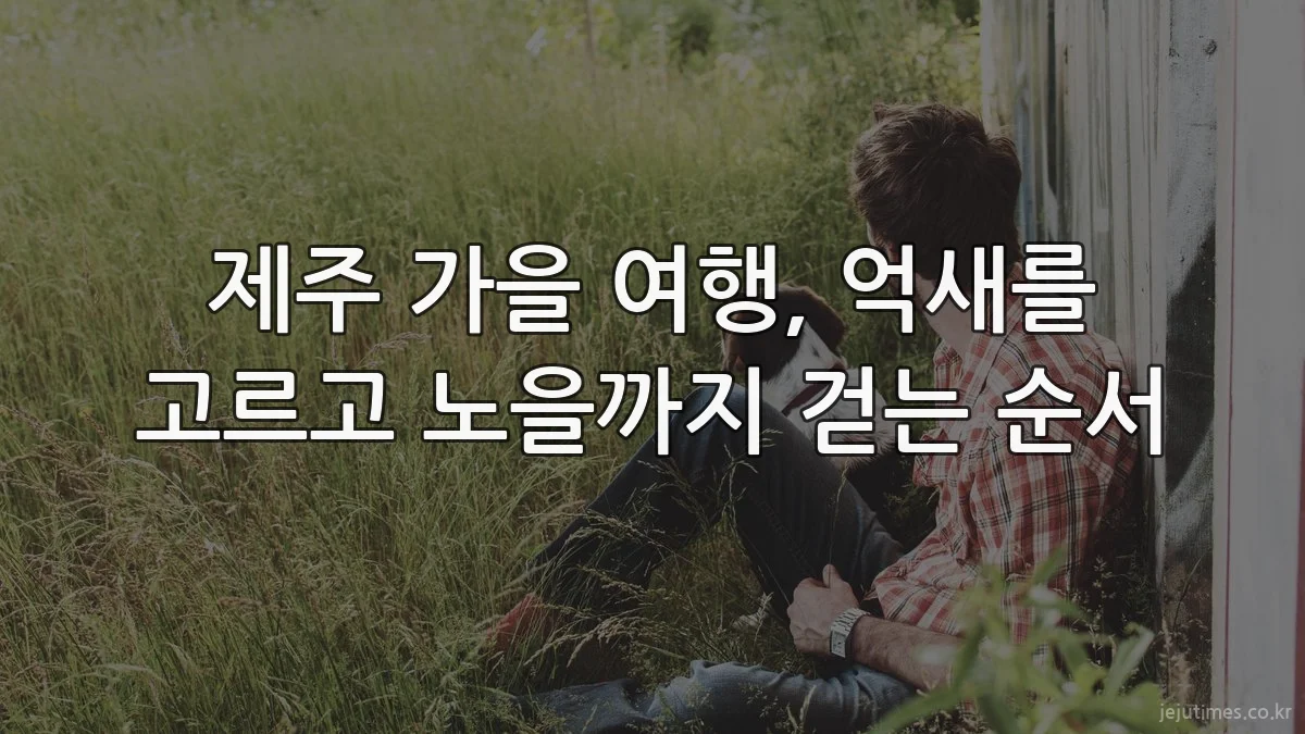 제주 가을 여행, 억새를 고르고 노을까지 걷는 순서