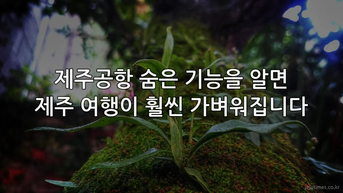 제주공항 숨은 기능을 알면 제주 여행이 훨씬 가벼워집니다