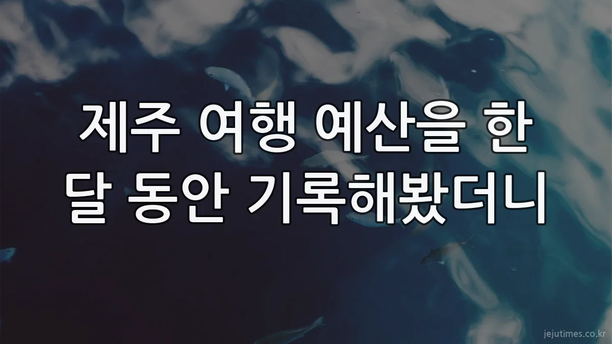 제주 여행 예산을 한 달 동안 기록해봤더니