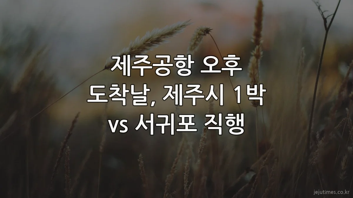 제주공항 오후 도착날, 제주시 1박 vs 서귀포 직행