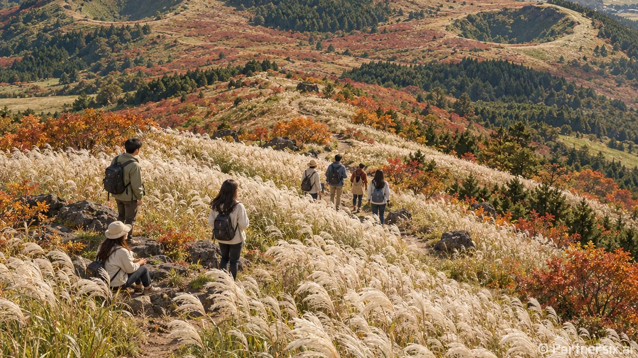 제주 용눈이오름 억새와 일몰 완벽 가이드