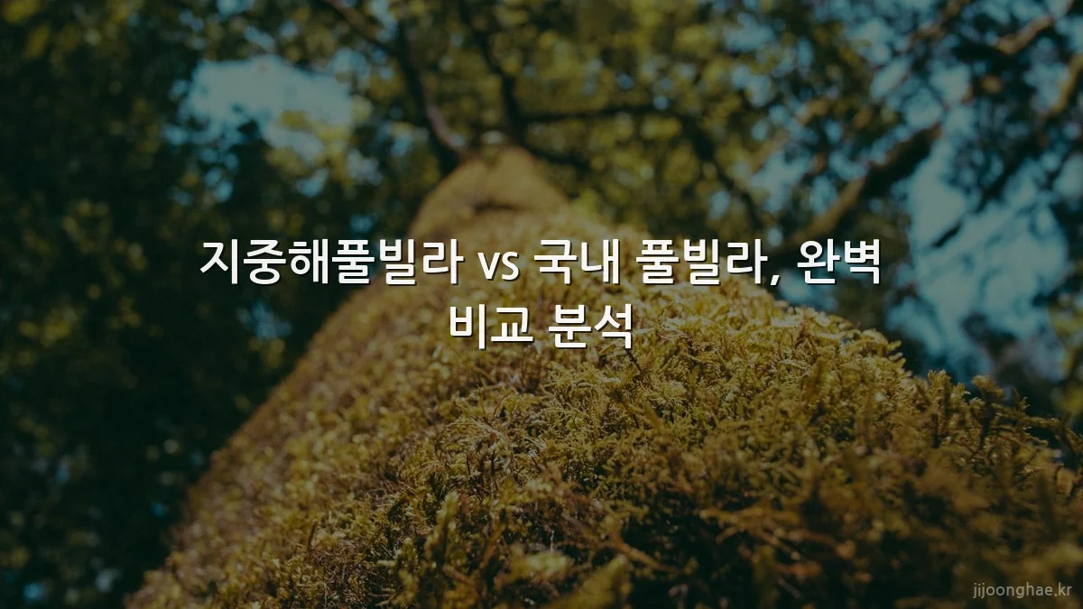 지중해풀빌라 vs 국내 풀빌라, 완벽 비교 분석