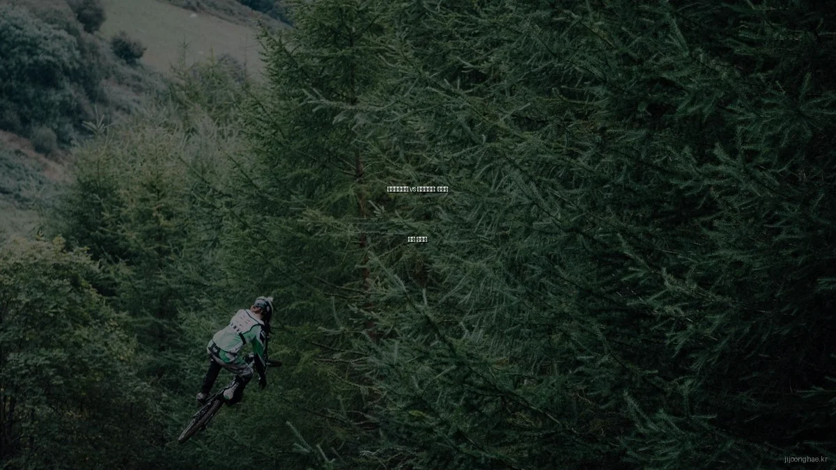 지중해풀빌라 vs 산속풀빌라: 허니문 선택 가이드