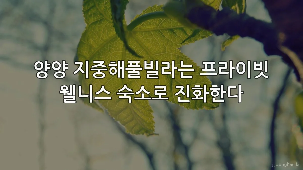 양양 지중해풀빌라는 프라이빗 웰니스 숙소로 진화한다